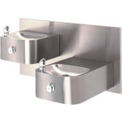Haws "Hi-Lo" Barrier-Free Wall Mounted 18G SS Drinking Fountain with Back Panel