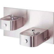 Halsey Taylor Contour™ Bi-Level Barrier-Free Fountain w/ Back Panel, HRF-SEBP FTN