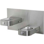 Halsey Taylor Contour™ Bi-Level Barrier-Free Fountain, HDF-BLEBP FTN