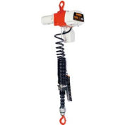 ED Cylinder Control Dual Speed Electric Hoist - 525 lbs, 6' Lift, 44/10 ft/min, 120V