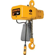 NER Electric Chain Hoist w/ Hook Suspension - 2-1/2 Ton, 10' Lift, 22 ft/min, 460V