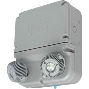 Hubbell DYN6I Dynamo Industrial LED Emergency Unit, Wet Rated, 3W LED Lamps, Self-Diagnostics