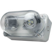 Hubbell DYNRD-4X LED Remote- DYN Series, Dual Head, NEMA 4X/IP66, 3W LED Lamps
