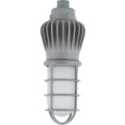 Hubbell VTC-5K-G-U-P2-G-GR Vaportite, Pendant Mt, Frosted Glass Globe, Guard, 27W, 1400L, 5000K,Gray