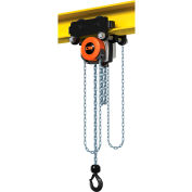 CM Hurricane 360° Hoist & Trolley Combo Geared 2 Ton Capacity, 10' LIft