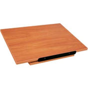 Revolving Dictionary Stand - Table Top - 22"W x 16"D x 5-1/2"H Oiled Cherry