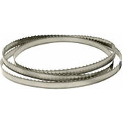 Jet 891095 Bi-Metal Bandsaw Blade 1" x 0.035 x 128-1/2" (4/6T) For EHB-916V