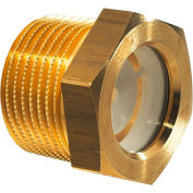 Brass Fluid Level Sight Glass w/ Reflector - 1" NPT Thread - J.W. Winco 1PTK3