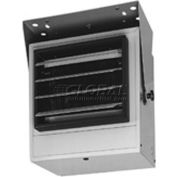 TPI Unit Heater, Horizontal or Vertical Discharge P3P5605T - 5000W 480V 3 PH