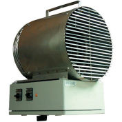 TPI Fan Forced Washdown Unit Heater P3P5510T - 10000W 480V 3 PH