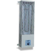 King Electric Utility Heater U1250, 500W, 120V, Pump House, W/Thermostat, White
