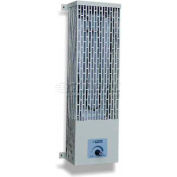 King Electric Utility Heater U24100-SS, 1000W, 240V, Pump House, W/Thermostat, Stainless Steel