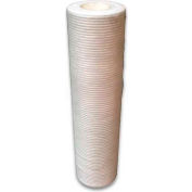 Koolfog FLE1005-S 5 Micron Scale Inhibiting Filter, 9 7/8" for Mohave Pump