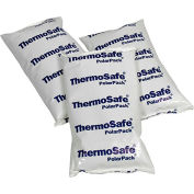 LabelMaster® Ice Gel Paks, 8 Oz., 5-3/4"L x 4-1/2"W x 1"H, White/Blue, 20/Pack