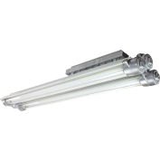 Larson Electronics EPL-48-216-PND, Explosion Proof 4f 4Lamp Fluor T5HO PN