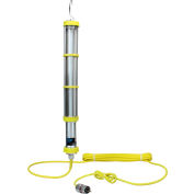 Larson Electronics EPL-FL1524-LED-100-EPP-1523-5.15, Expl Proof, 15W LED Drop Light w/ Exp Plug