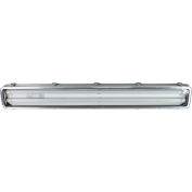 Larson Electronics HAL-48-2L-LED-PND, Hazardous Location 4f 2-lamp LED PND