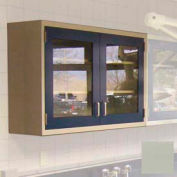 Lab Wall Cabinet 35"W x 13"D x 30"H, 2 Glass Steel Encased Doors, 2 Adj Shelves, Champagne