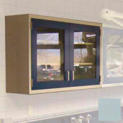 Lab Wall Cabinet 35"W x 13"D x 30"H, 2 Glass Steel Encased Doors, 2 Adj Shelves, Model Gray