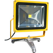 Lind Equipment LE970LED-FS Portable Heavy-Duty LED Flood Light - 50W, Floor Stand