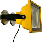 Lind Equipment LE970LED-MAG Portable Heavy-Duty LED Flood Light - 40W, Magnet Mount