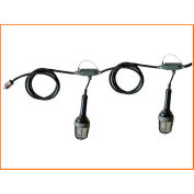 Lind Equipment TLS-50XP Explosion Proof Stringlights, 50', 5 Lights, w/Expl. Proof Plug & Connector