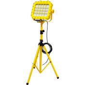 Lind Equipment 160W LED Portable Hazardous Location Floodlight on Tripod