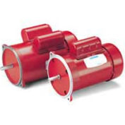 Leeson Motors Single Phase Farm Ag Motor 1/2HP, 1425RPM, 48, TEFC, 110/220V, 1/20HZ, Manual