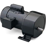 Leeson 107013.00, 1/2 HP, 22 RPM, 115/208-230V, 1-Phase, TEFC, P1100, 79:1 Ratio, 1105 In-Lbs
