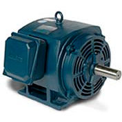 Leeson 170025.60, Premium Eff., 60 HP, 1790 RPM, 208-230/460V, 364T, DP, Rigid