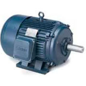 Leeson 170224.60, Premium Eff., 25 HP, 3600 RPM, 575V, 284TS, TEFC, Rigid