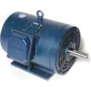 Leeson Motors 3-Phase Farm Ag Motor 15HP, 1775RPM, 254T, ODP, 208-230460V, 60HZ, Rigid