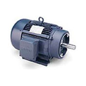 Leeson 171597.60, Premium Eff., 100 HP, 1785 RPM, 208-230/460V, 405TC, TEFC, C-Face Rigid