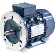 Leeson Motors Motor, 193344.6, IEC Metric Motor-7.5HP, 230/460V, 1175/975RPM, 89.5 Eff.