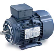 Leeson Motors Motor IEC Metric Motor-10HP, 230/460V, 1760/1450RPM, IP55, B3/B14, 1.15 SF, 89.5 Eff.