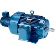 Leeson Motors - 30HP, 230/460V, 1765RPM, TEBC, Rigid Mount, 1.0 S.F.