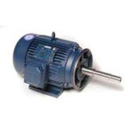 Leeson Motors 3-Phase Pump Motor 3HP, 3450RPM, N182JP, TEFC, 230/460V, 60HZ, 40C, 1.15SF, Rigid