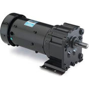 Leeson M1145033.00, 1/6 HP, 60 RPM, 115/230V, 1-Phase, TEFC, P240, 29:1 Ratio, 157 In-Lbs