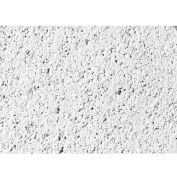 USG 414 Frost&#8482; ClimaPlus&#8482; Ceiling Panels, Mineral Fiber, White, 24&quot; x 24&quot;