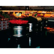 Round Galvanized Ice Tub, 49-1/2"L x 49-1/2"W x 32"H, ABS, Galvanized