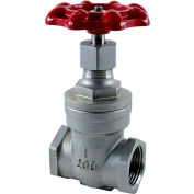 1/2 In. Stainless Steel Gate Valve - 200 PSI