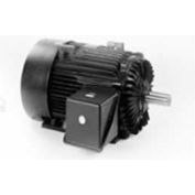 Marathon Motors Severe Duty Motor, E611, 364TSTFS6501, 60HP, 460V, 3600RPM, 3PH, 364TS FR, TEFC