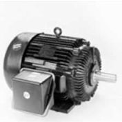 Marathon Motors Severe Duty Motor, W584, 364TSHFS9001, 60HP, 460V, 3600RPM, 3PH, 364TS FR, TEFC