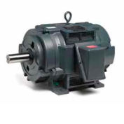 Marathon Motors Oil Well Pump Motor, Y217, 25HP, 460/796V, 1200RPM, 3PH, 324T FR, DP