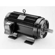 Marathon Motors Inverter Duty Motor, Y393, 286THTNA7026, 30HP, 230/460V, 1800RPM, 3PH, 286TC, TENV