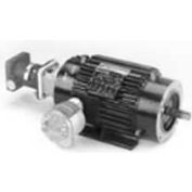 Marathon Motors Inverter Duty Motor, Y982, 254THEN8058, 7.5HP, 230/460V, 1800RPM, 3PH, 254TC, EPNV