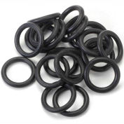 Thermo Scientific O-Ring For 15mL Tubes, For Digital Bottle/Tube Roller 88881003, 20/Pack
