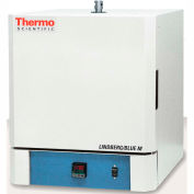 Thermo Scientific Lindberg/Blue M&#153; Moldatherm Box Furnace with A Controller, 1.99L, 120V