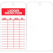 NMC RPT168 Tags, Ladder Inspection, 6" X 3", White/Red, 25/Pk