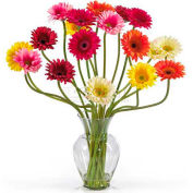 Nearly Natural Gerber Daisy Liquid Illusion Silk Flower Arrangement, Assorted